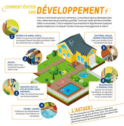 eviter--developpement-moustique.jpg -