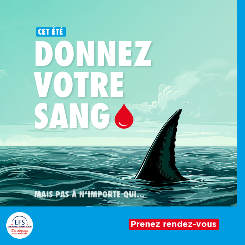 1080x1080px-carre-generique-ete-requin-2025.png -