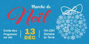 marche-de-noel-site-actu.png -