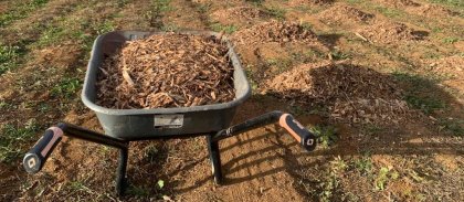 jardin-de-cocagne-mirabeau-thomas-richaud-site.jpg  -