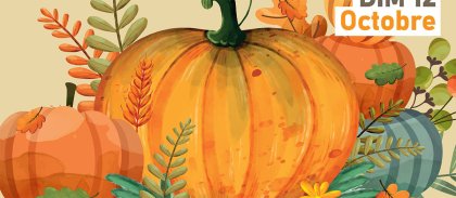 affiche-fete-de-la-courge-1.jpg -