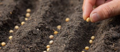 site-close-up-picture-hand-holding-planting-seed-plant.jpg -
