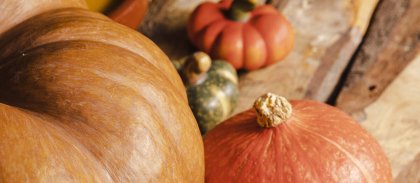 site-high-angle-different-sized-pumpkin.jpg -