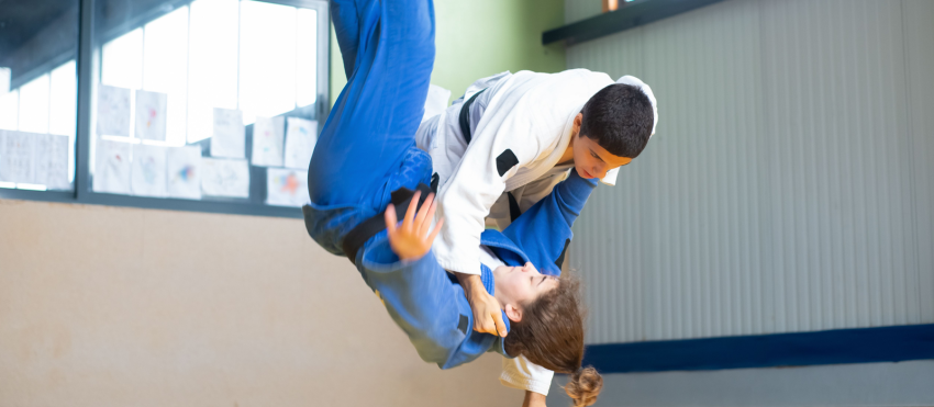 judo2.png