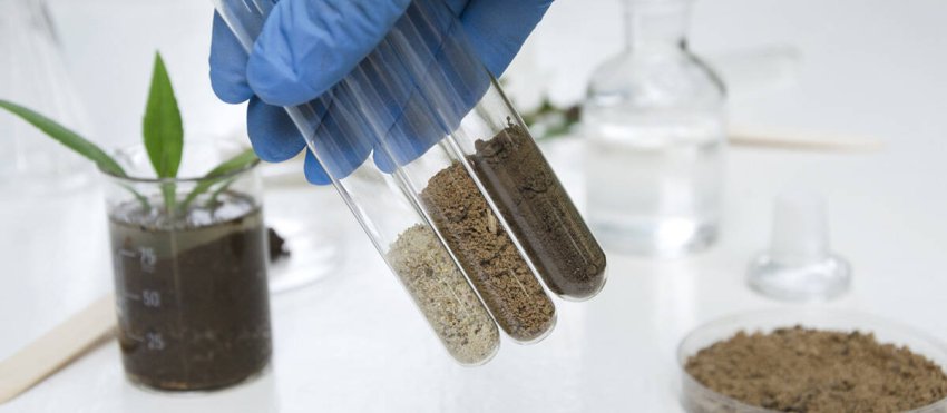 analyse-organique-laboratoire-agriculture-site.jpg -