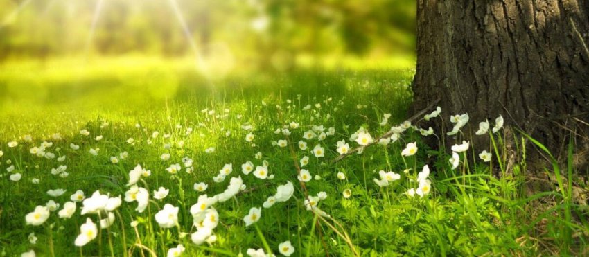 cover-r4x3w1200-6050d17125456-spring-276014-1920-site.jpg -