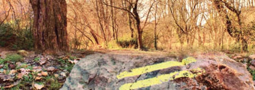 illu-parcours.jpg illu parcours