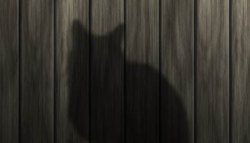 2017-04-03-arrete-chats-errants.jpg 2017 04 03 arrete chats errants