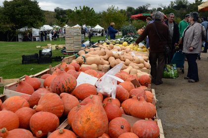2016-10-16-fete-de-la-courge-1.jpg 2016 10 16 fete de la courge 1