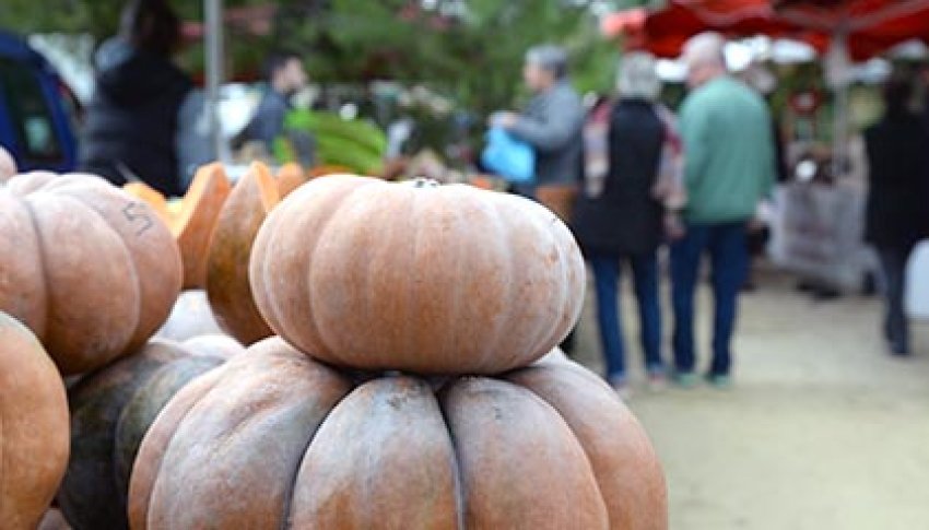 2016-10-16-fete-de-la-courge-vignette.jpg 2016 10 16 fete de la courge vignette